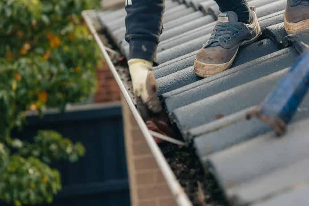 IMG_6573 gutter cleaning service